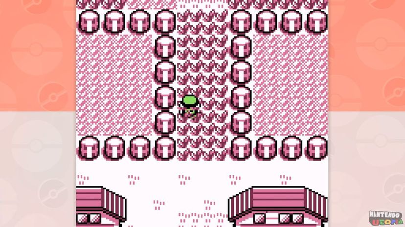 2 leaving pallet town