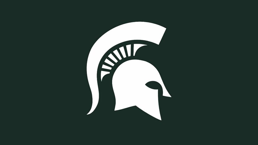 Michigan State