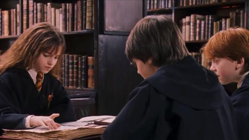 Potter Gang in Library
