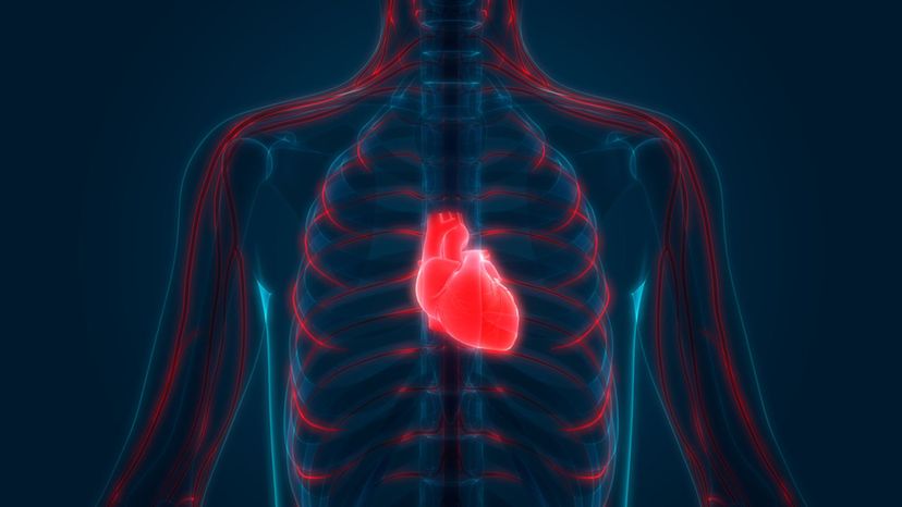 How Well Do You Know Your Heart Health?