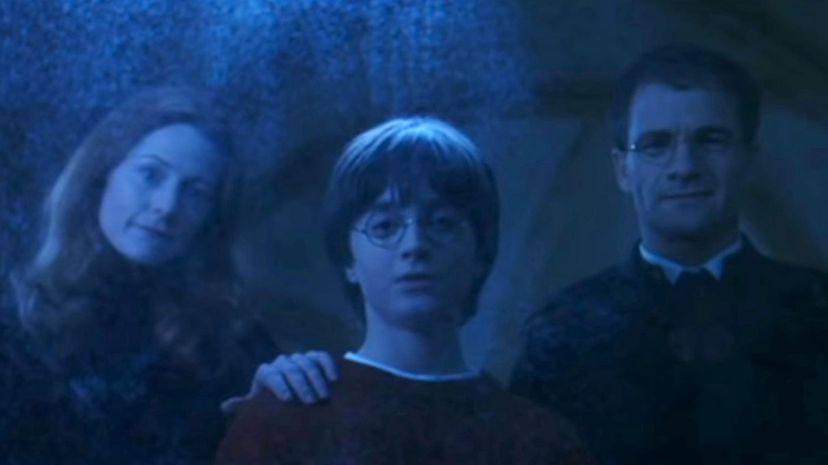 11 Harry Potter parents