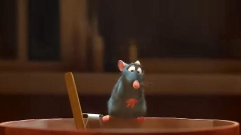 Ratatouille