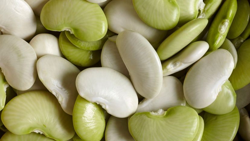 35 Lima Beans GettyImages-186428398