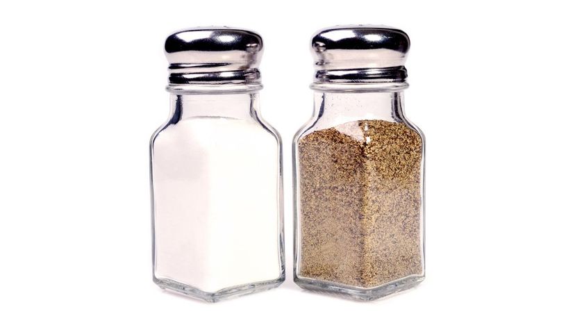 Salt and Pepper Shakers