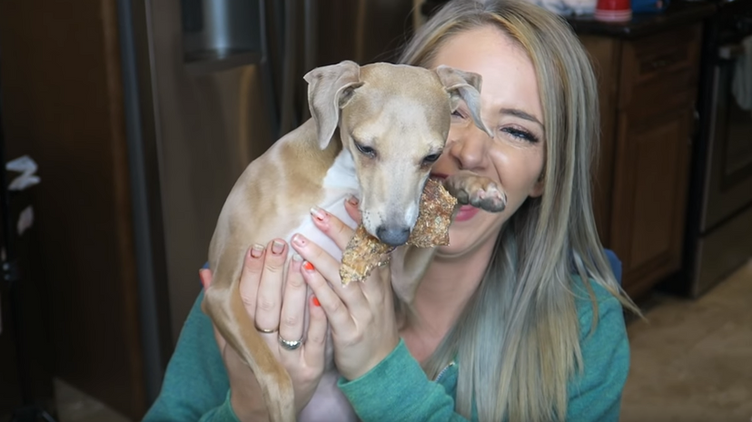 Which of Jenna Marbles’ Dogs Are You?