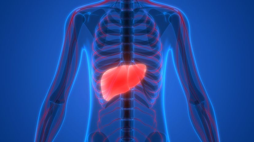 How Much Do You Know About the Signs of Liver Failure?