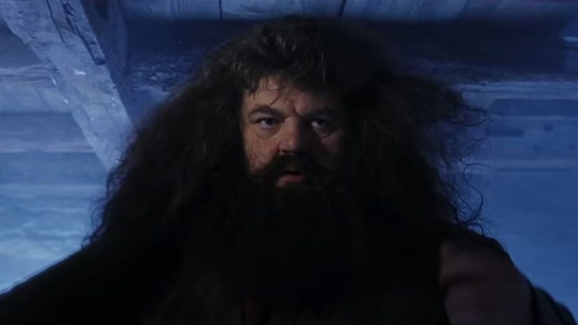 28 Rubeus Hagrid