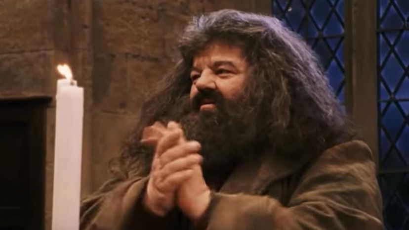 Hagrid