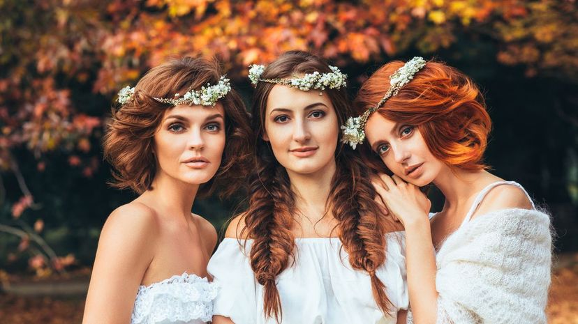 Three beautiful bride on a background of autumn forest