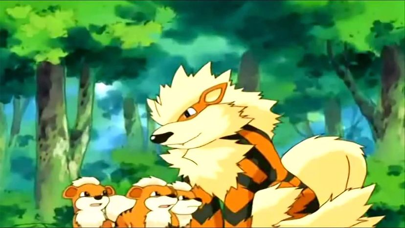 Arcanine