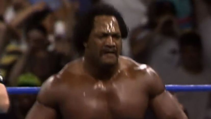 Ron Simmons