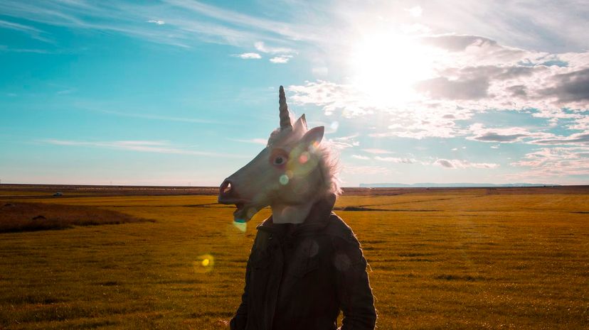 Unicorn Standing in Sunny Field