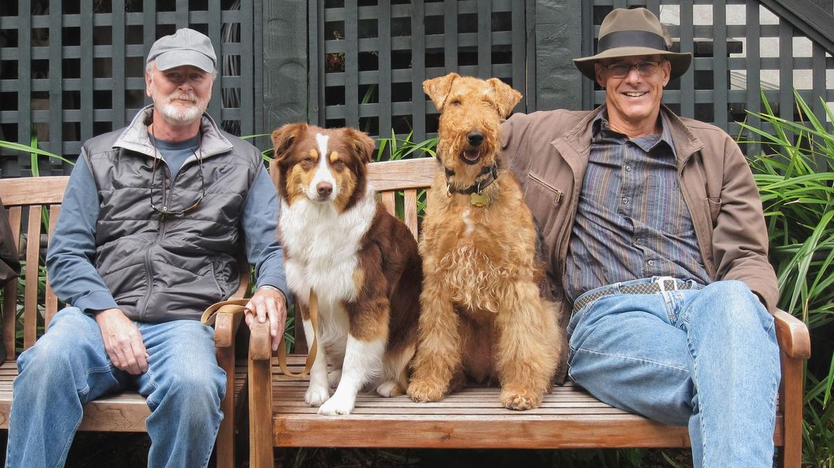 What Kind of Dog Matches You? HowStuffWorks