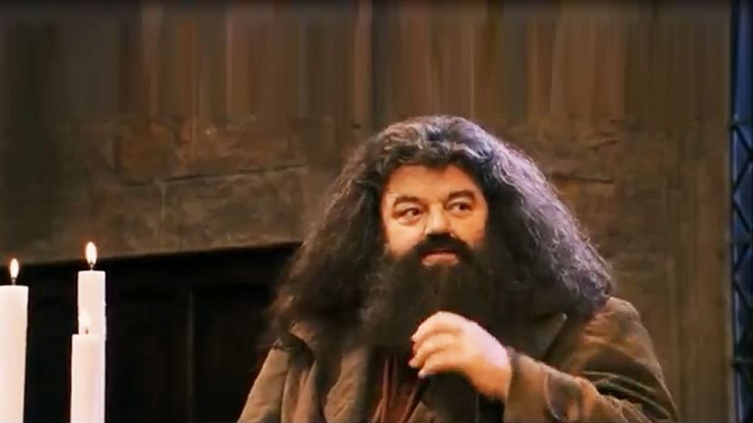 Rubeus Hagrid