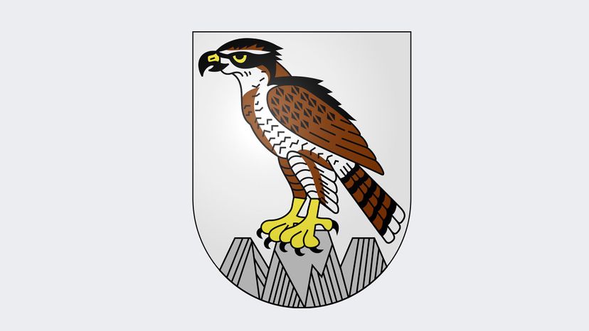hawk coat of arms