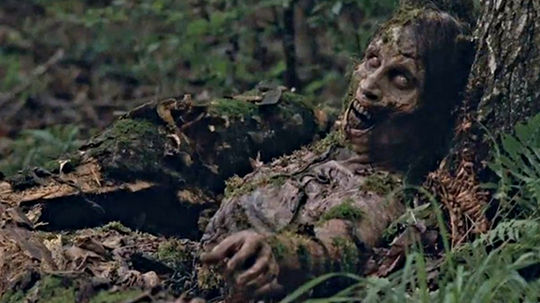 Which Walking Dead 'Walker' Are You?