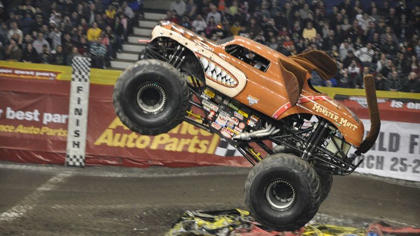 19-Monster Mutt