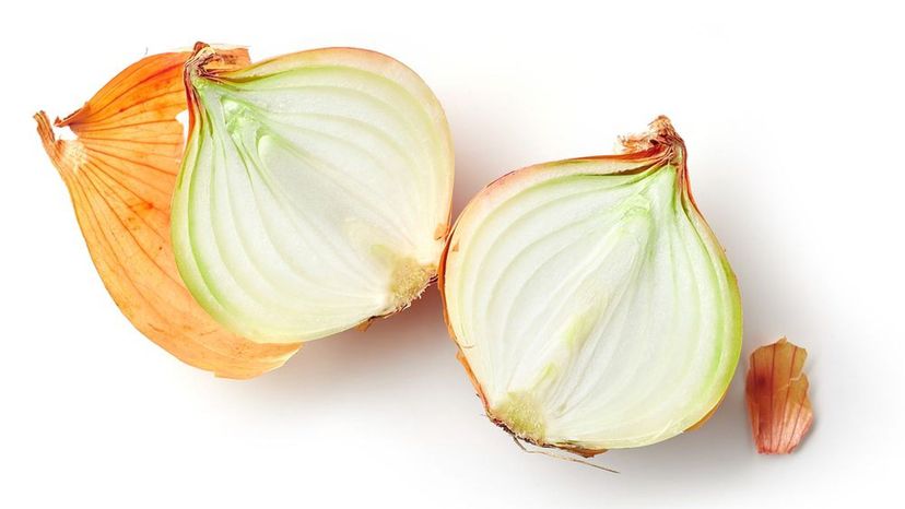 Onion