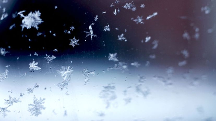 16 snowflakes