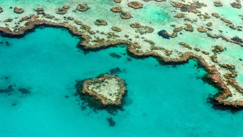 Heart Reef