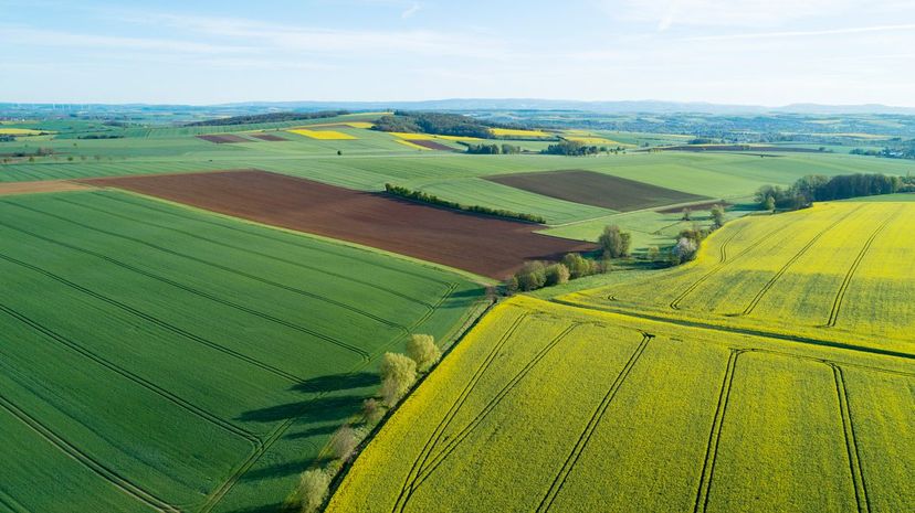 Agricultural fields