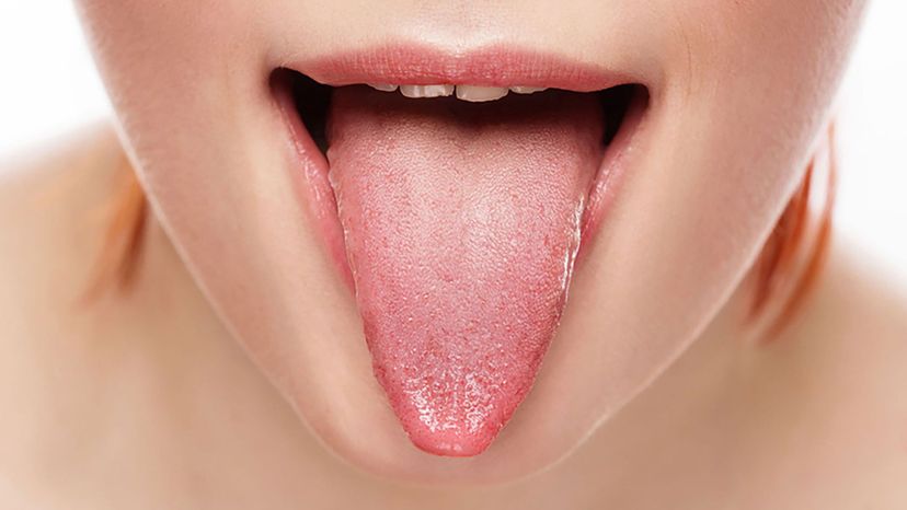 tongue