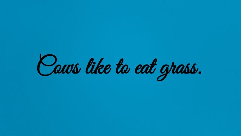 Cows like to eat grass.
