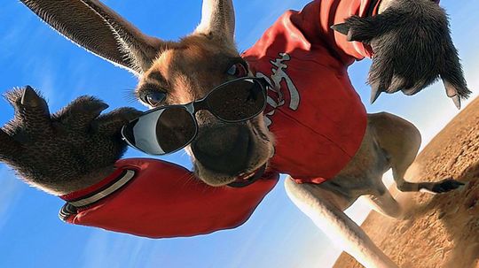 Are you a Kangaroo Jack expert?