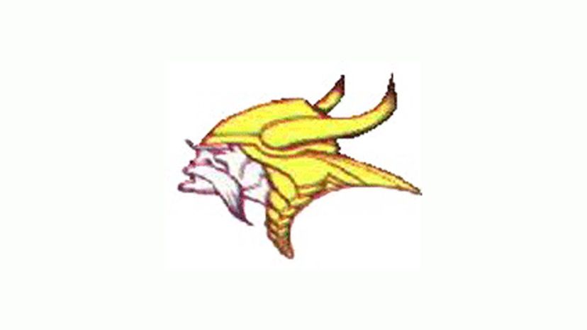 Minnesota Vikings 61-65