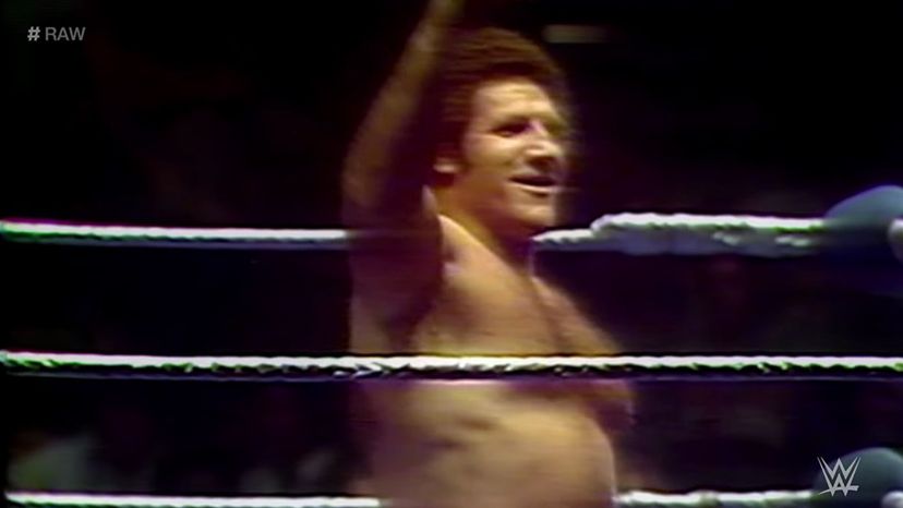 Bruno Sammartino 