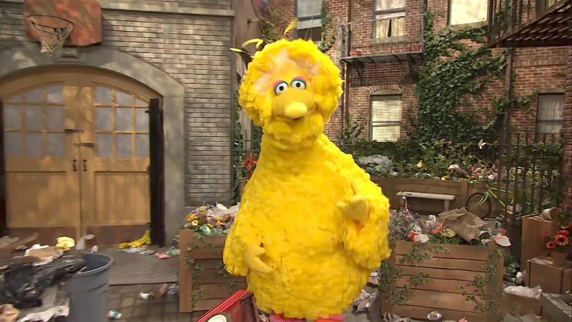 Big Bird - Sesame Street