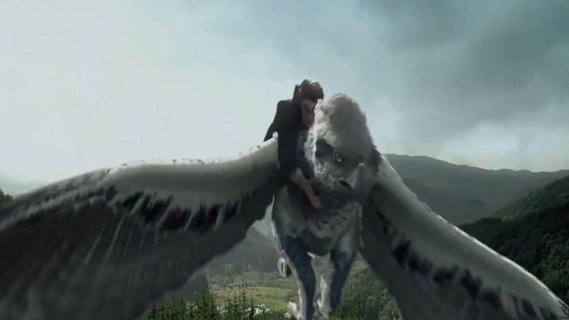 Hippogriff