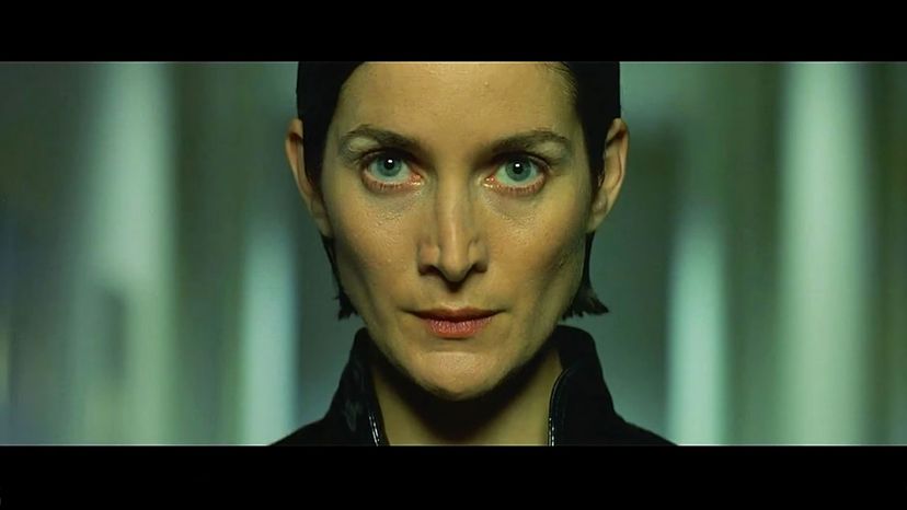 Carrie-Anne Moss as Trinity 
