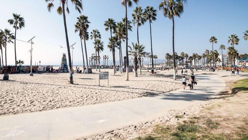 Venice Beach