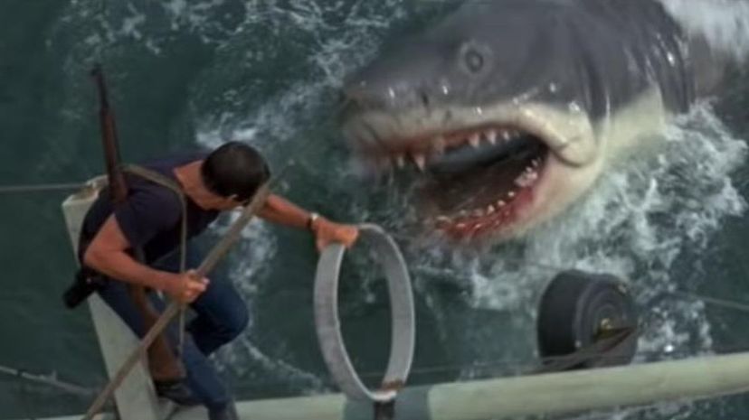 How Well Do You Remember "Jaws"?