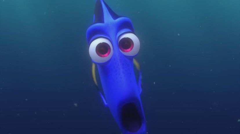 2 - Dory