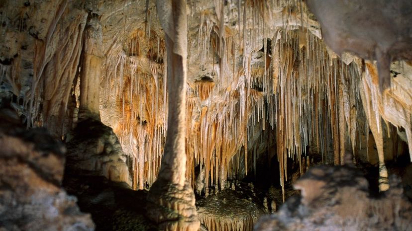 36 Carlsbad Caverns National Park GettyImages-541076386