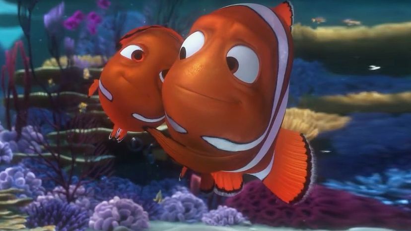 Nemo and Marlin