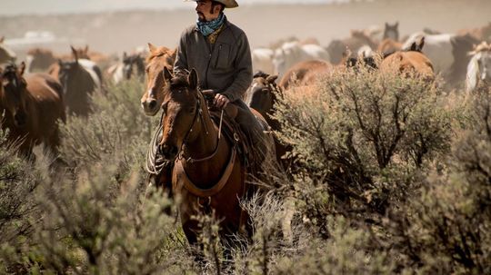 You Won't Believe What Your Wild West Job Should Actually Be!