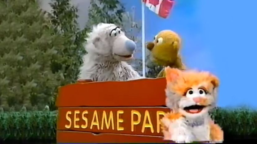 What Muppet Are You From “Canadian Sesame Park”?
