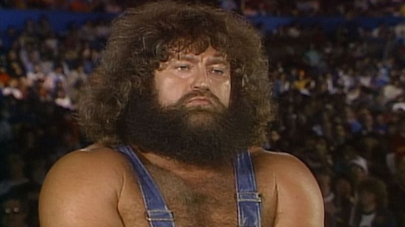 Question 11 - Hillbilly Jim