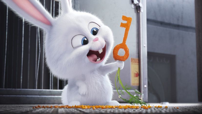 Secret Life of Pets