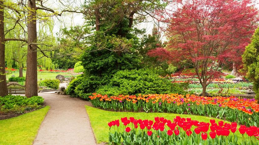 Royal Botanical Gardens