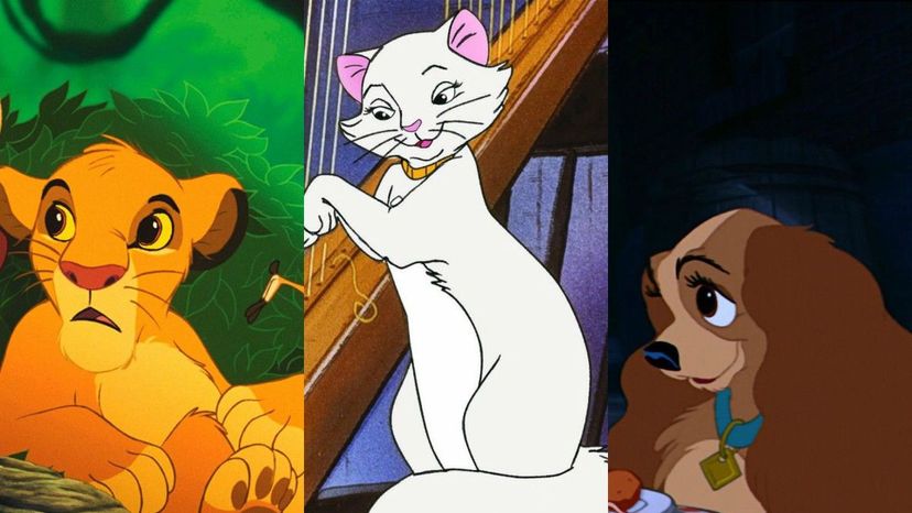 Do you know your Disney Spirit Animal? | HowStuffWorks