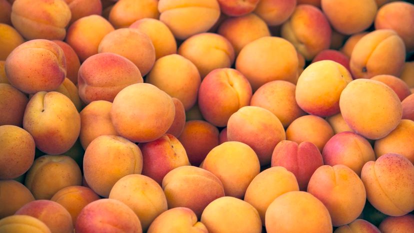 Apricot