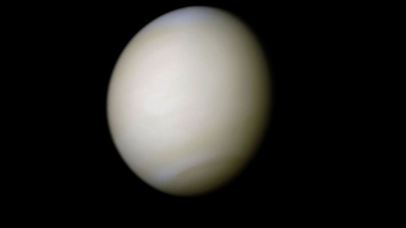 Venus3