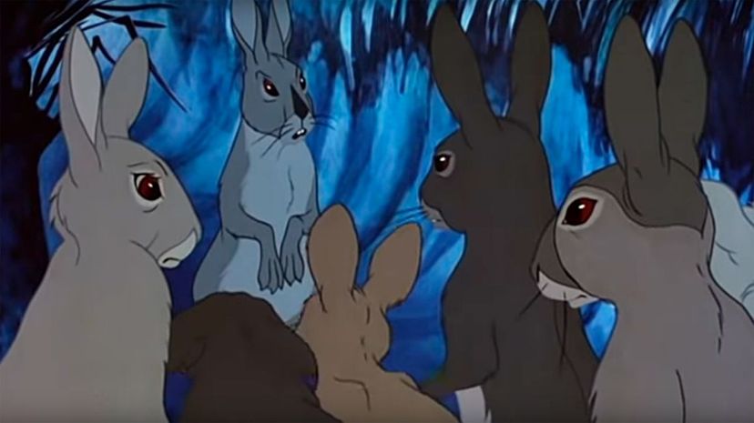 Watership Down