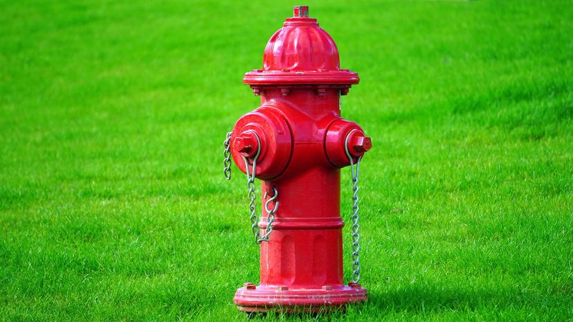Q 15 Fire Extinguisher - Pump