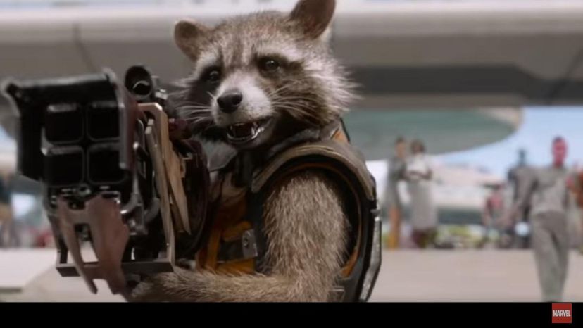 Rocket