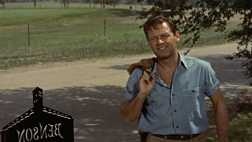 William Holden, Picnic